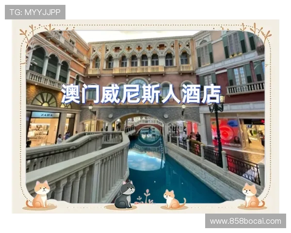 亲子游威尼斯人：家庭友好的活动与景点推荐